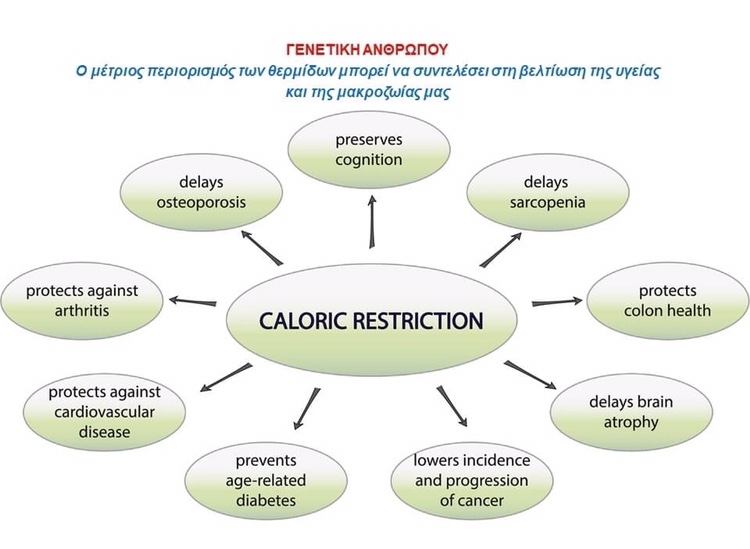 Κετογονική δίαιτα: Γιατί αυξάνει το προσδόκιμο ζωής